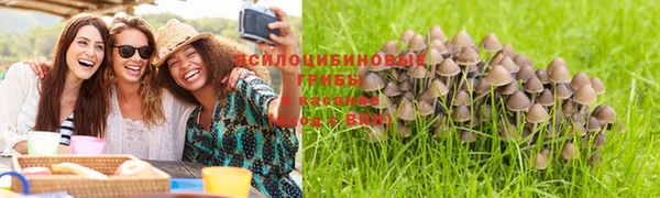 кокаин премиум Вяземский